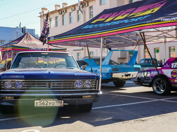 The irresistible dachshund charm: from personality to jewelry trends